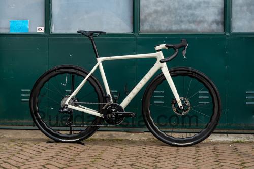 Allied Echo ficha tecnica 